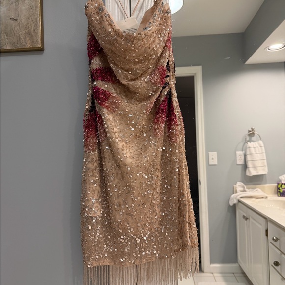 Tularosa Blush Pink Sequin Fringe Mini Dress - Picture 4 of 5